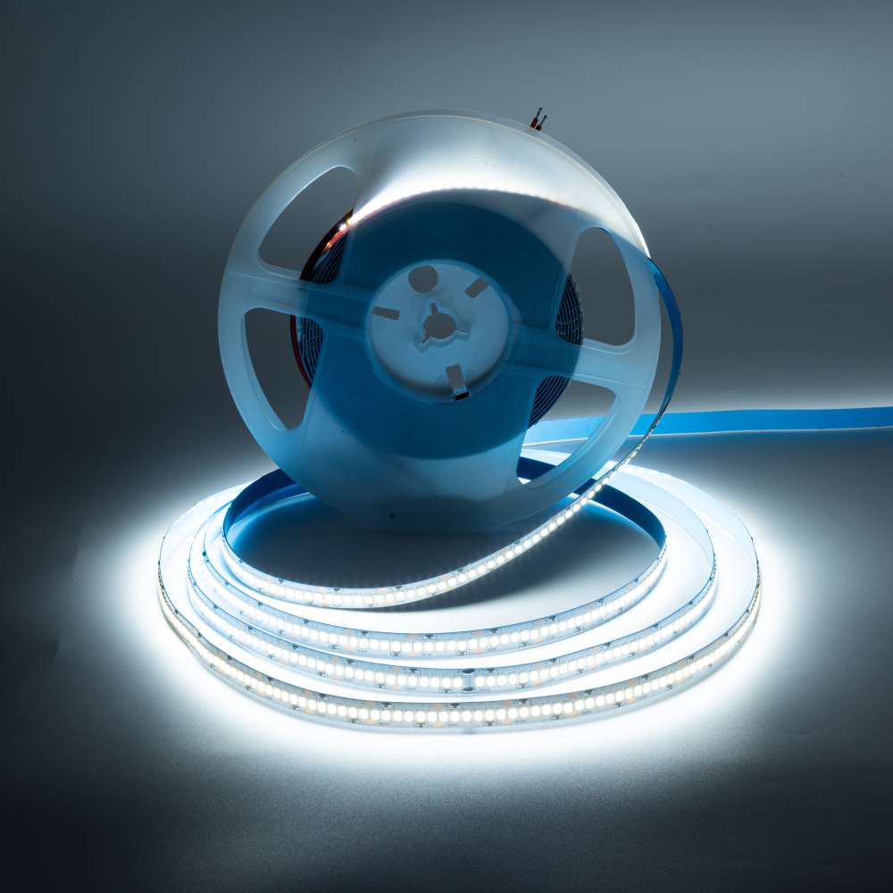 Fita LED 2835 240Leds/M 21W 2500LM 10MM 24V 5M IP20 LED7