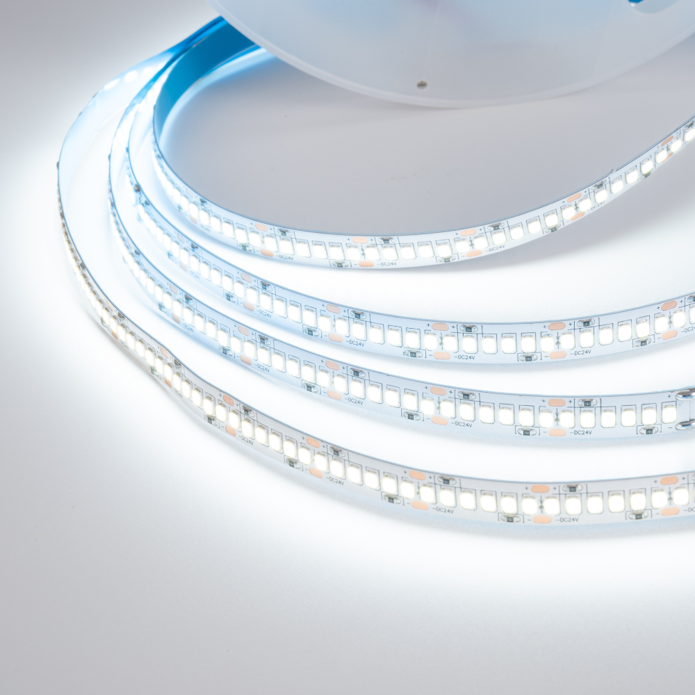 Fita LED 2835 240Leds/M 21W 2500LM 10MM 24V 5M IP20 LED7