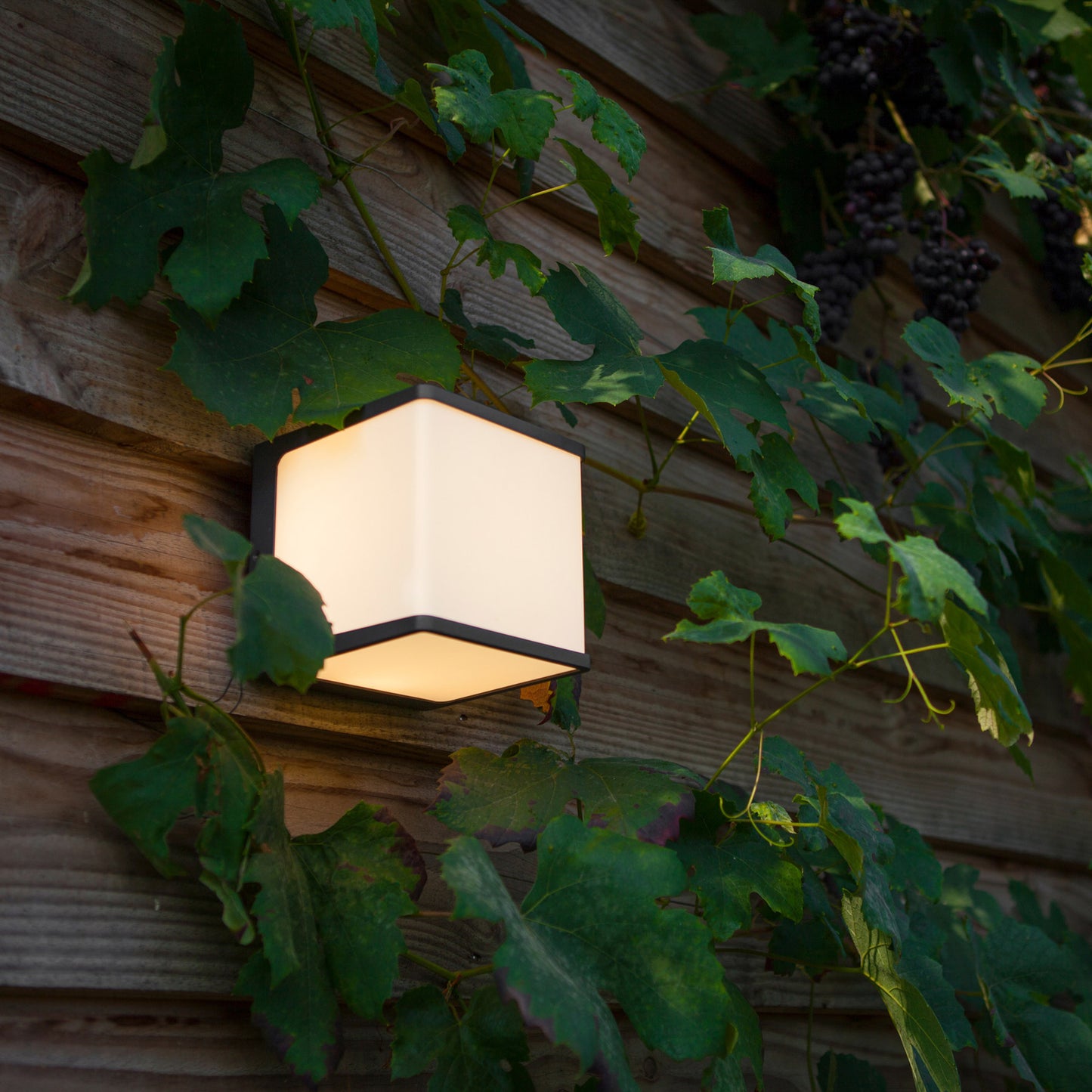 Aplique Cubo LED 10W 4000K 1000lm IP54
